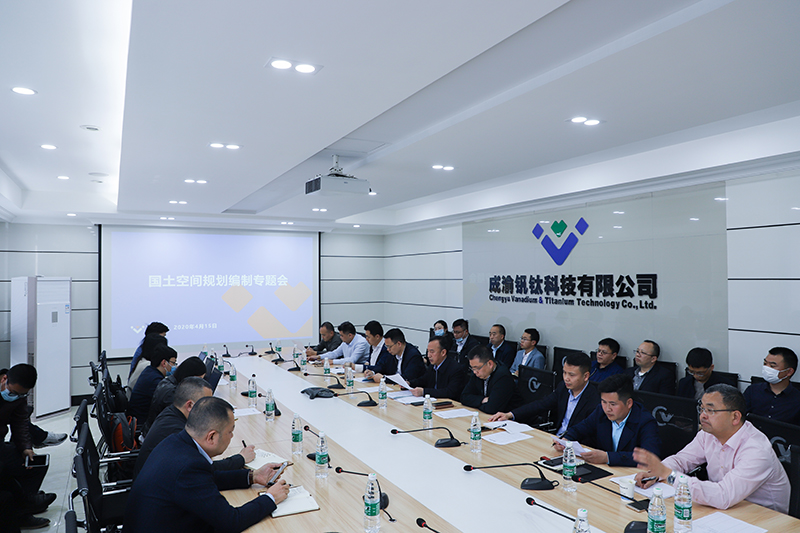 威远县自规局携中规院西部分院专家到汇赢国际举行国土空间规划编制专题会(图6)
