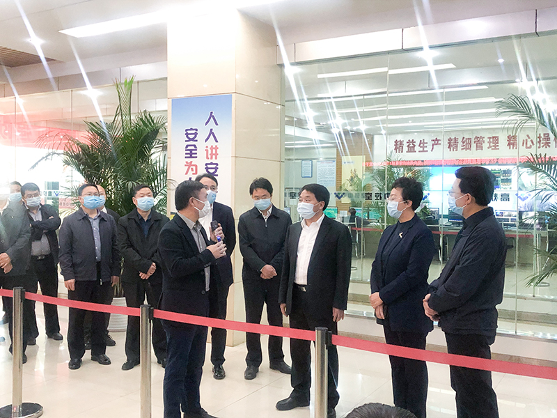 省委常委 常务副省长罗文莅临汇赢国际调研(图1)