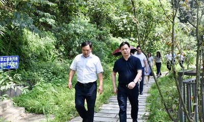 省总工会宣教部部长陈君一行到汇赢国际连界基地调研