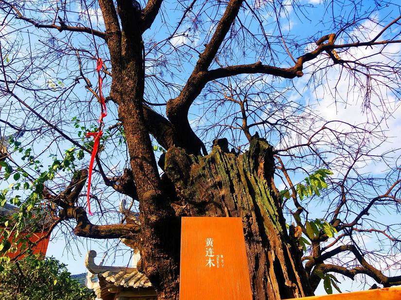 大石板古村：保护利用让历史文化“活”起来 ——全省城乡建设历史文化保护利用工作现场会在西昌大石板古村召开(图3)