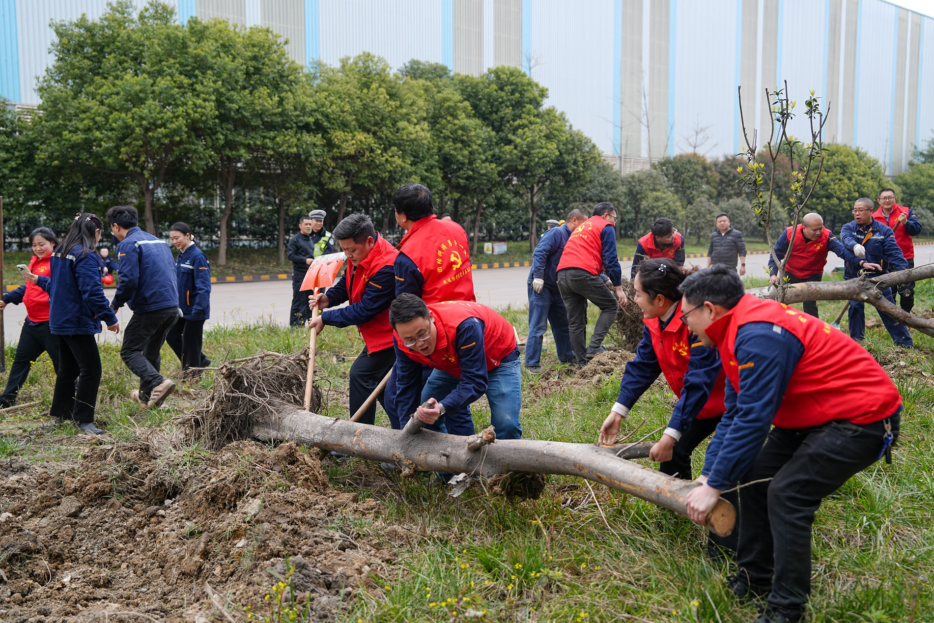 打造绿色汇赢 共建美好家园——钒钛科技组织开展植树节系列活动(图3)
