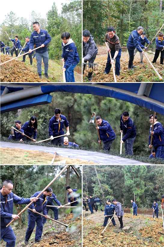 打造绿色汇赢 共建美好家园——钒钛科技组织开展植树节系列活动(图5)