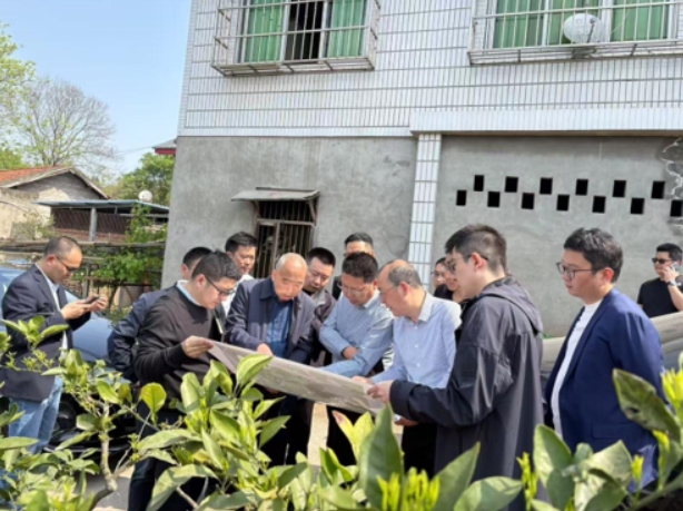 简阳市委市政府全力推进葫芦坝乡村振兴项目 (图2)