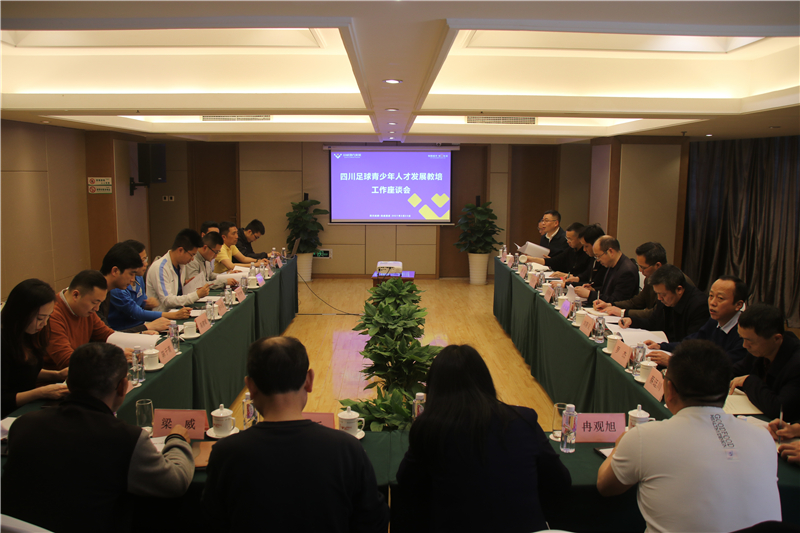 企业搭台 专家唱戏 大咖齐聚 ——汇赢法兰克福足校研讨会召开(图1)