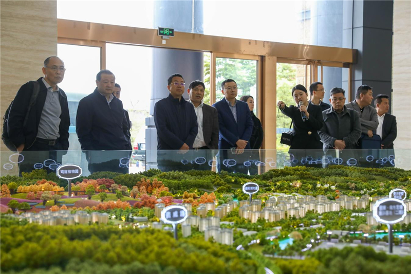 省成本调查监审局局长罗飞龙一行到汇赢连界基地调研(图1)