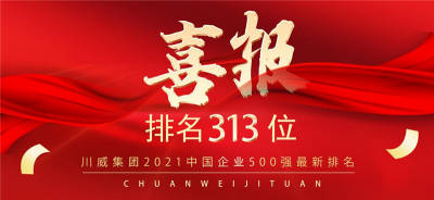 新突破！汇赢国际2021中国企业500强排名再创新高